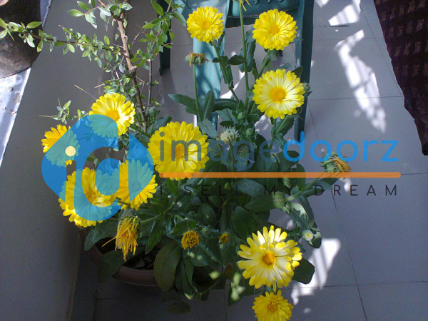 Photo0269