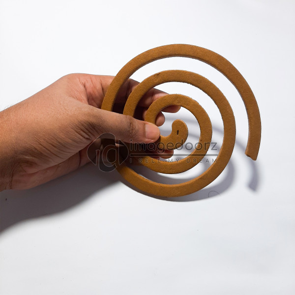 Coil