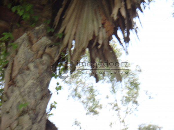 DSC00186