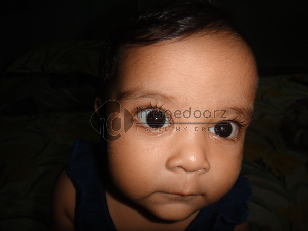 DSC00369