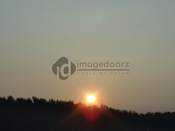 DSC00403