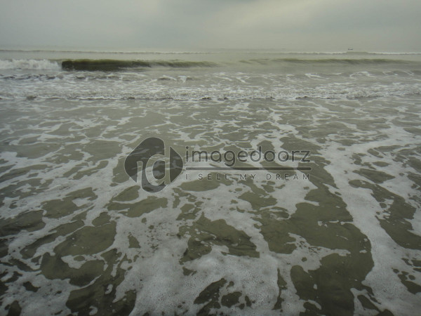 DSC00406