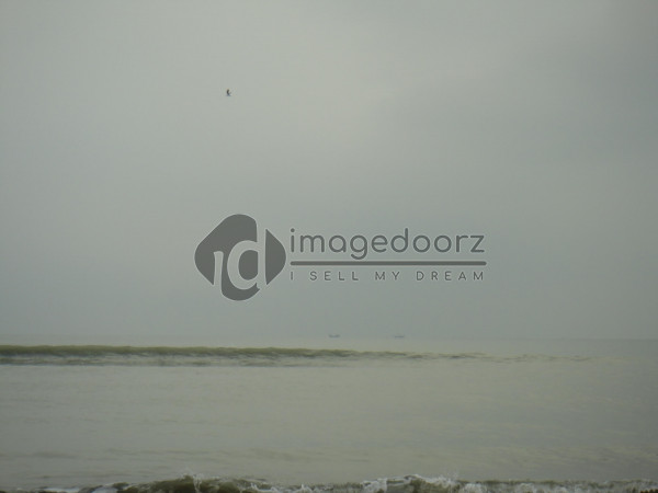 DSC00407