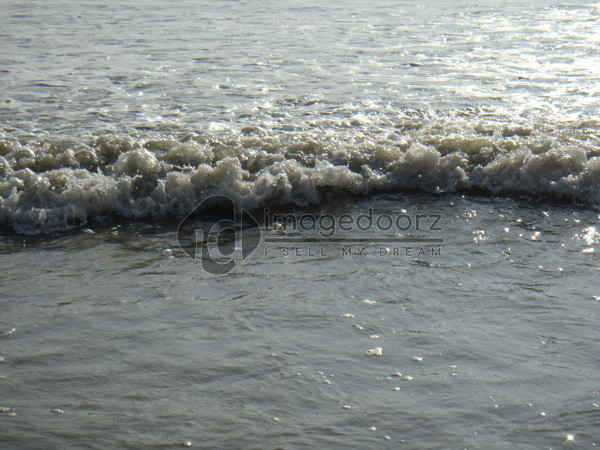 DSC00452
