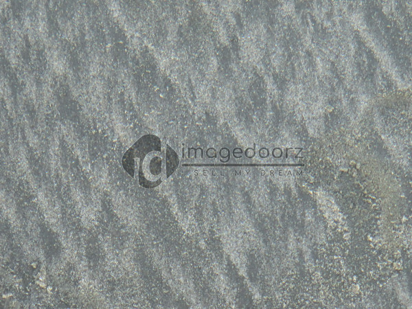 DSC00462