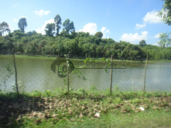 DSC00486