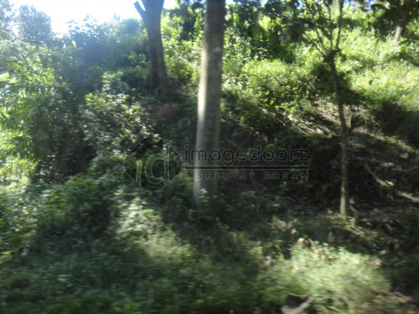 DSC00492