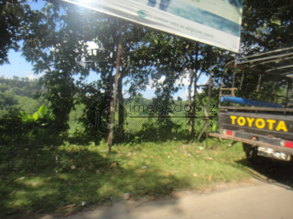 DSC00505