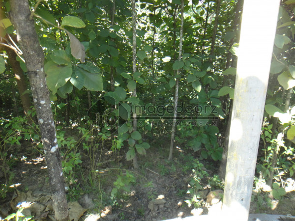 DSC00508