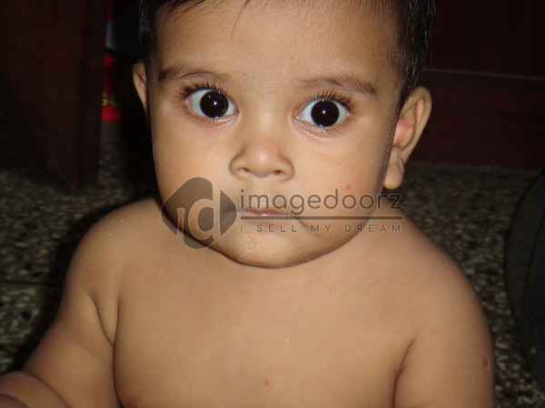 DSC00536