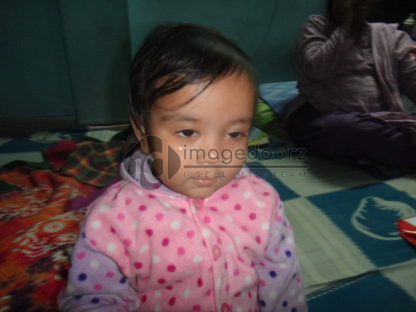 DSC00602