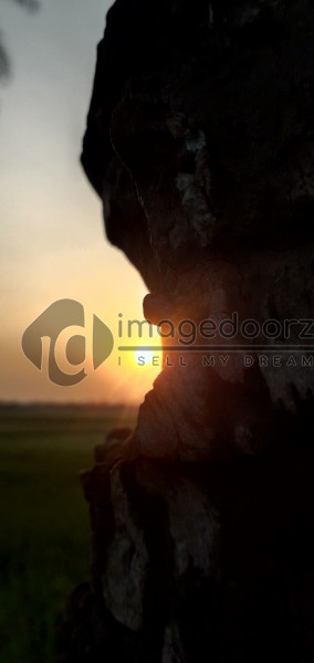 Sunset Scenery