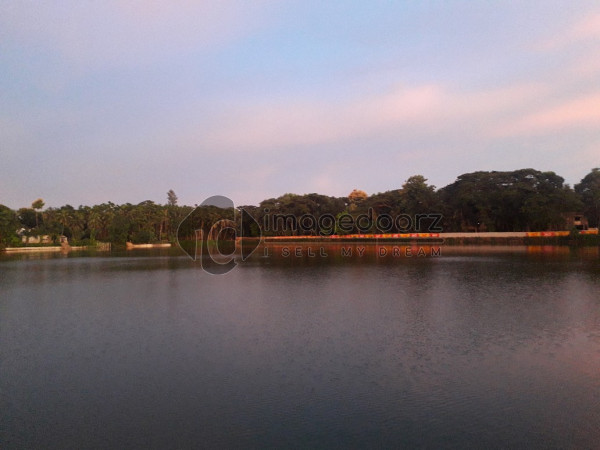 Beauty of Nature