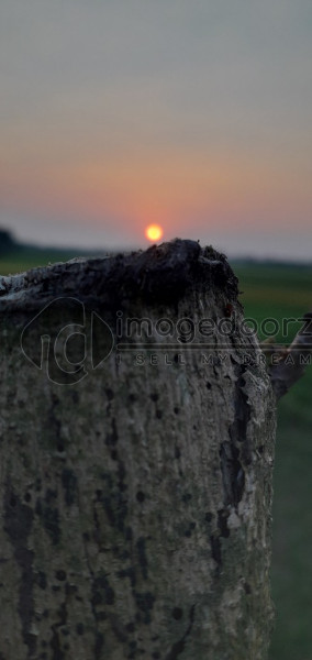 Sunset Scenery