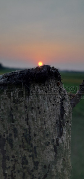 Sunset Scenery