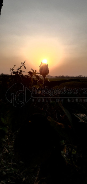 Sunset Scenery
