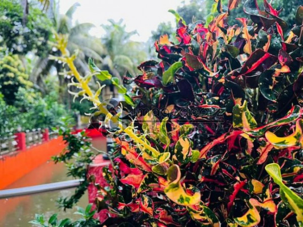 Beuty of Bangladesh