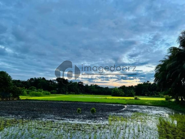 Sunrise