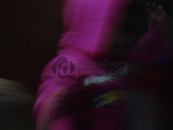 DSC00706