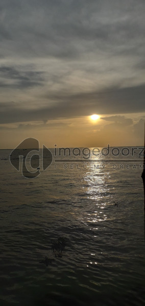 Evening Scene