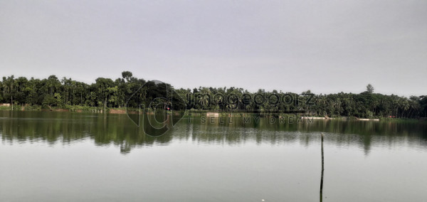 Pond
