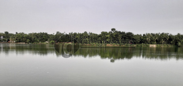 Beuty of Pond