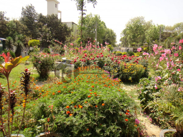 DSC00800