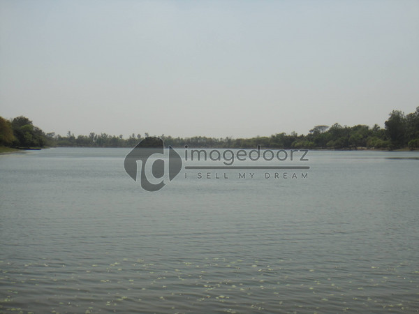 DSC00810