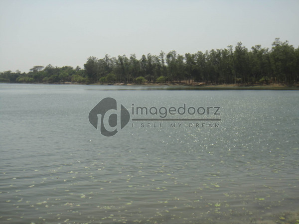DSC00811