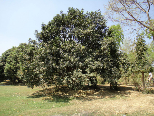 DSC00812