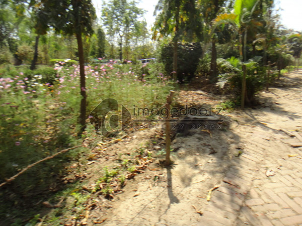 DSC00823