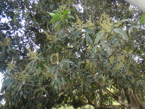 DSC00835