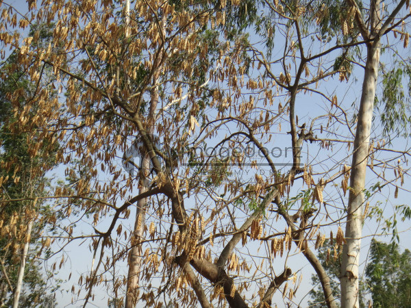 DSC00849