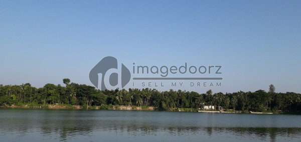 Schene of Pond