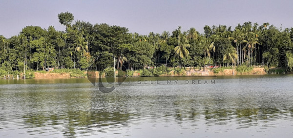 Scenery of Pond