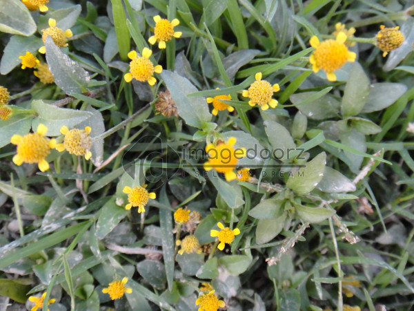 DSC00865