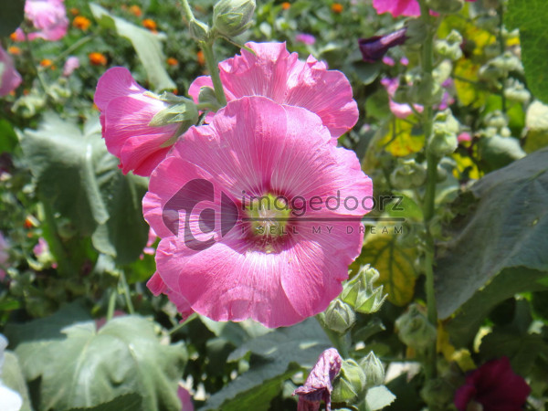 DSC00873