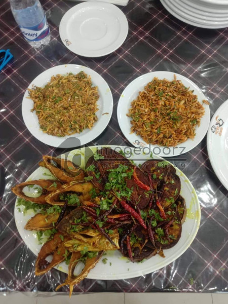 Hilsa Fry