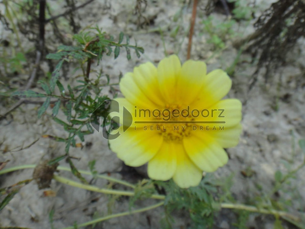 DSC00893