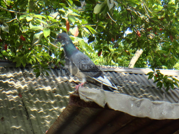 DSC00919