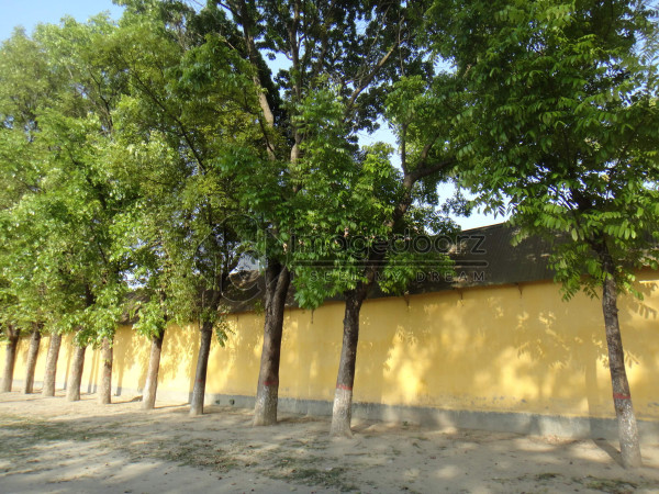 DSC00940