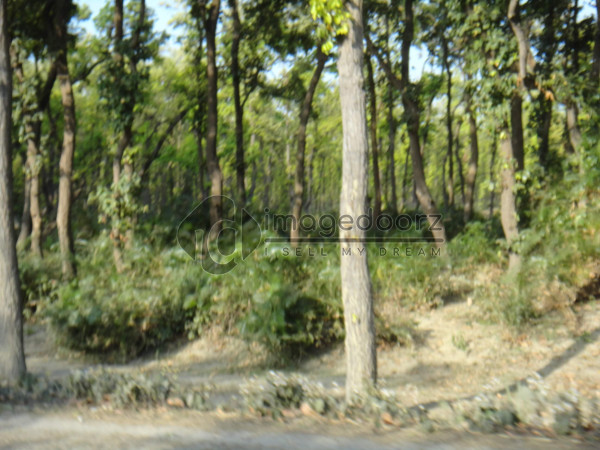 DSC00943