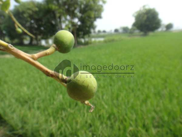DSC01004