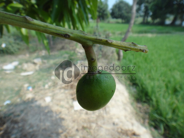 DSC01005
