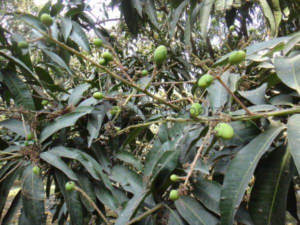 DSC01009