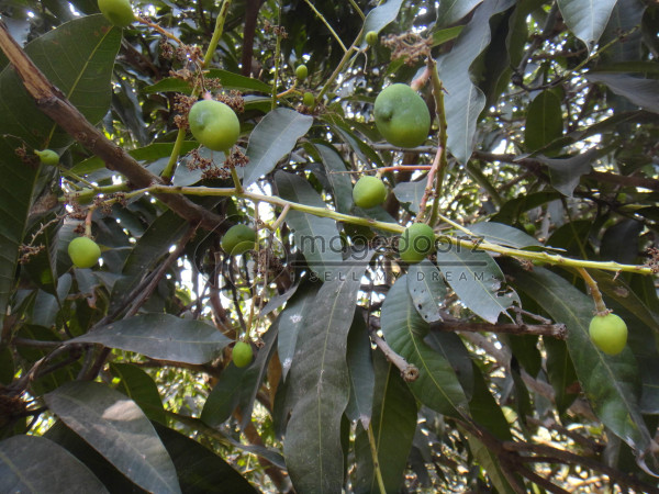 DSC01013