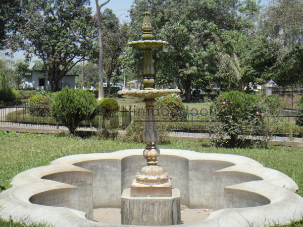 DSC01031