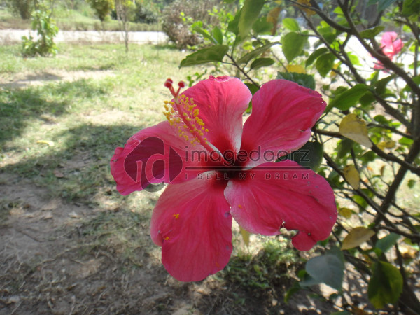 DSC01042