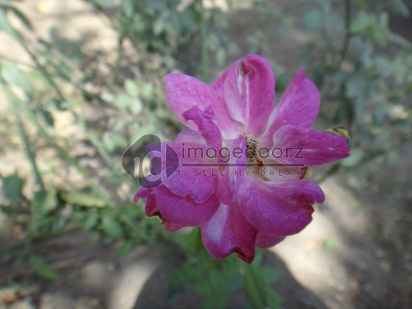 DSC01043
