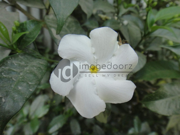DSC01057